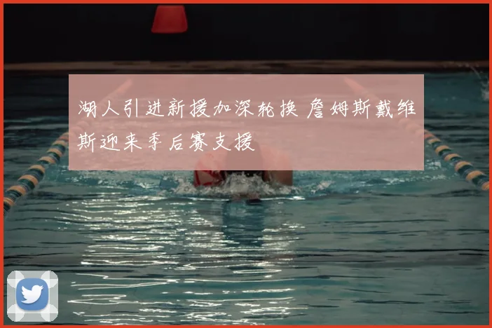 湖人引进新援加深轮换 詹姆斯戴维斯迎来季后赛支援