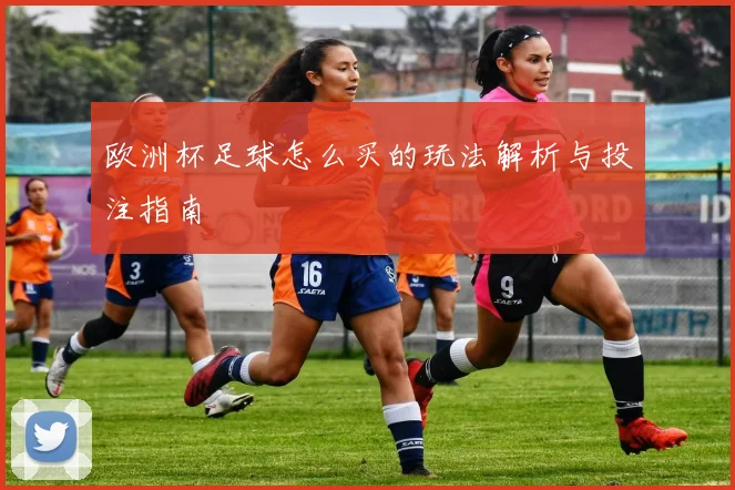 欧洲杯足球怎么买的玩法解析与投注指南
