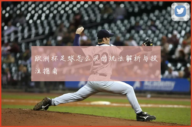 欧洲杯足球怎么买的玩法解析与投注指南